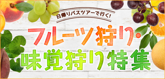 slide_fruits.jpg
