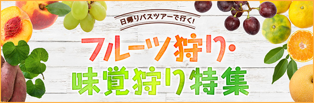 sp_slide_fruits.jpg