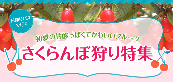 slide_cherry02.jpg