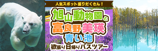 北海道 札幌 発日帰りバスツアー 格安夜行バス 日帰りバスツアー予約 バス市場 北海道 札幌 発日帰りバスツアー 格安夜行バス 日帰りバスツアー予約 バス市場