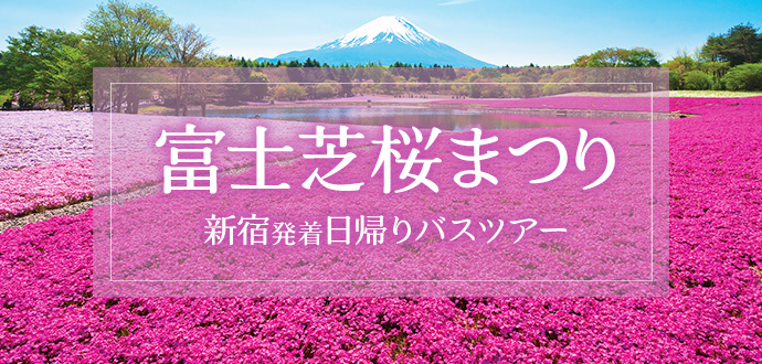 slide_shibazakura.jpg