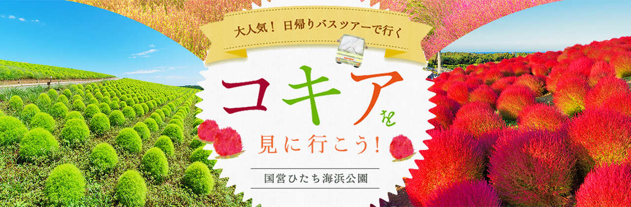 kochia_banner_sp.jpg