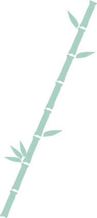竹