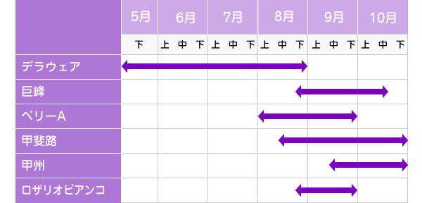 ぶどうの収穫時期（一例）