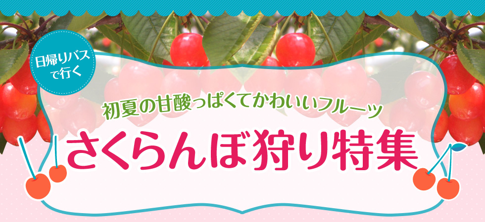 初夏の甘酸っぱくてかわいいフルーツ さくらんぼ狩り日帰りバスツアー特集