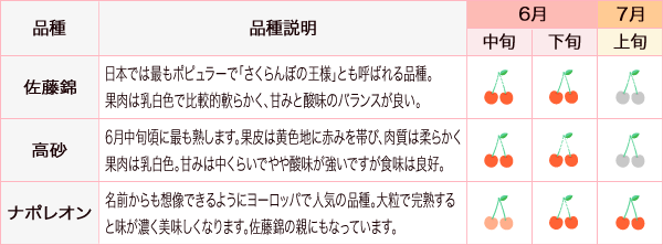 さくらんぼの収穫時期と品種