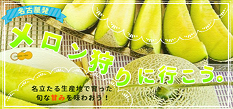 メロン狩り－バナー