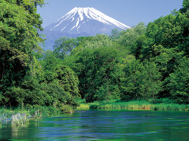 柿田川公園