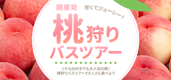 もも狩り－バナー