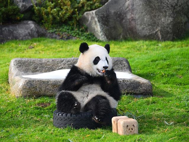 ツアーイメージ