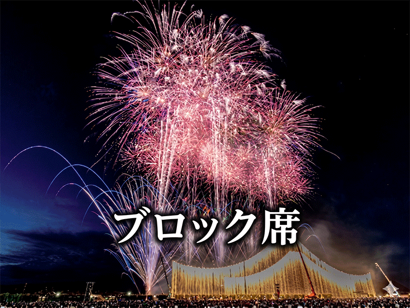 ふくろい遠州の花火大会 名古屋発バスツアー