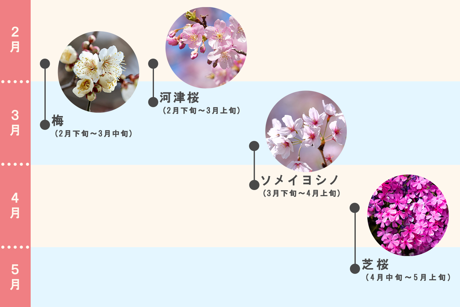花の見ごろカレンダー