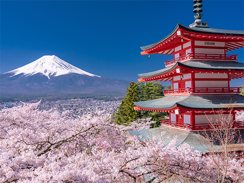 《山梨県》富士山と五重塔と満開の桜・春の新倉山浅間公園