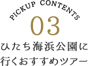 ひたち海浜公園に行くおすすめツアー