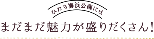 ひたち海浜公園には まだまだ魅力が盛りだくさん！