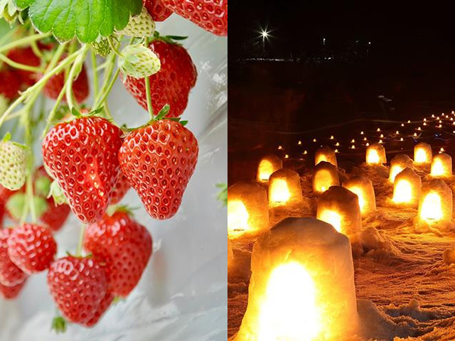 スカイベリーと湯西川温泉かまくら祭イメージ