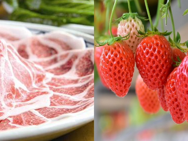 福豚しゃぶしゃぶランチ＆いちご狩り食べ放題