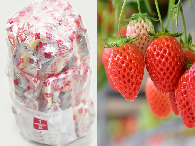 苺と信玄餅詰め放題イメージ