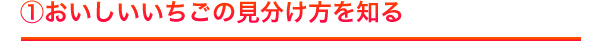 おいしいいちごの見分け方を知る