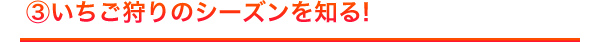 いちご狩りのシーズンを知る！