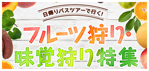 フルーツ狩り味覚狩り特集バナー