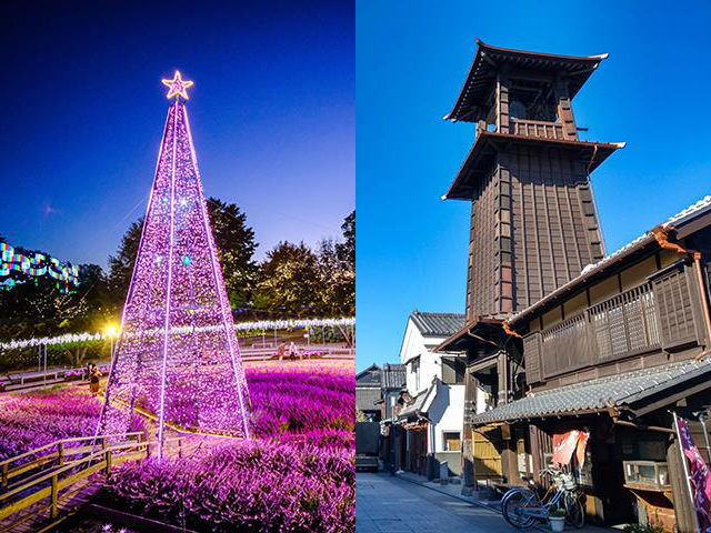 あしかがフラワーパークと小江戸川越