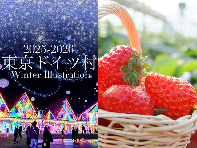 東京ドイツ村イルミネーション
