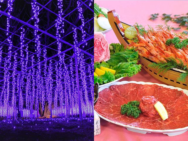 あしかがフラワーパーク