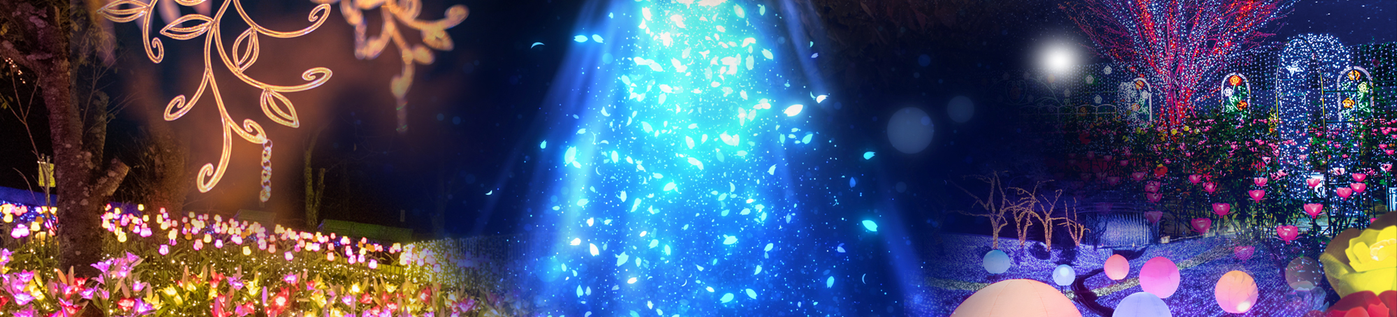 バスツアーで行くイルミネーション特集