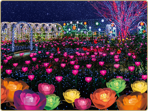 あしかがフラワーパーク