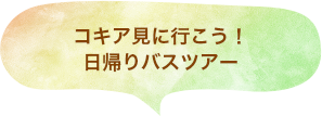 コキア見に行こう！日帰りバスツアー