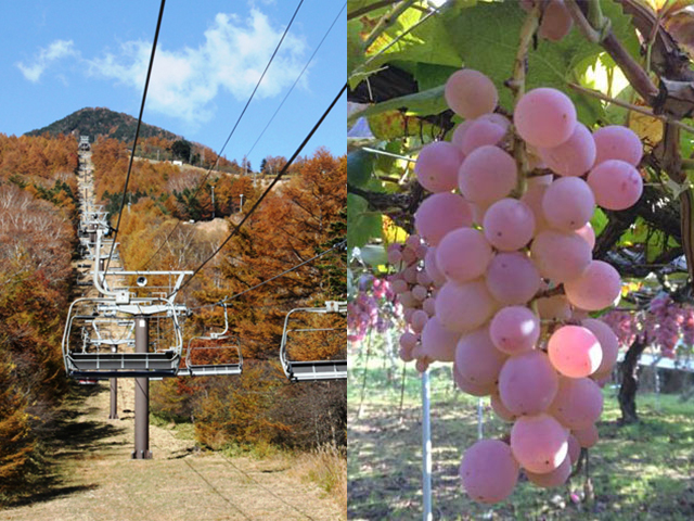 清里テラス