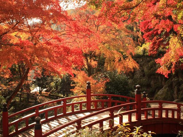 熱海梅園