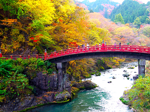 日光
