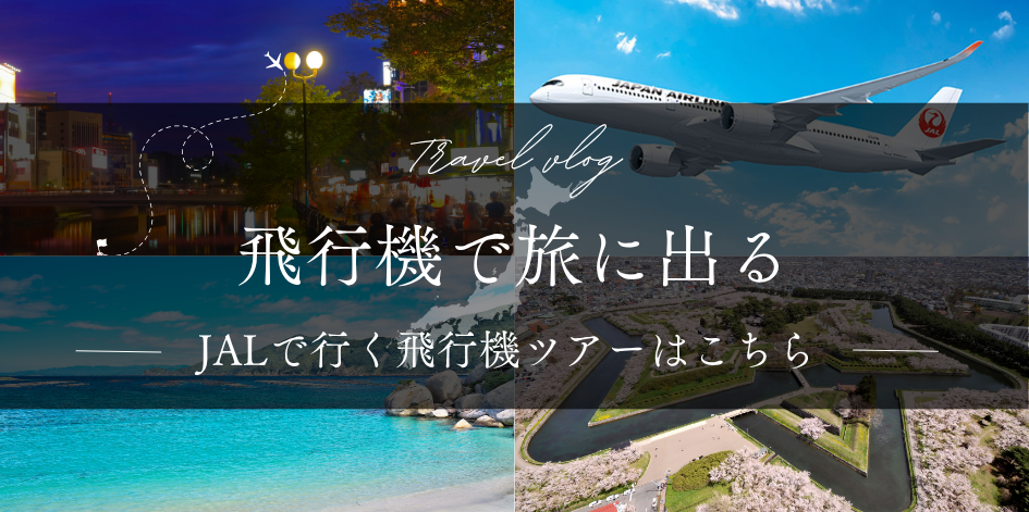 飛行機ツアー