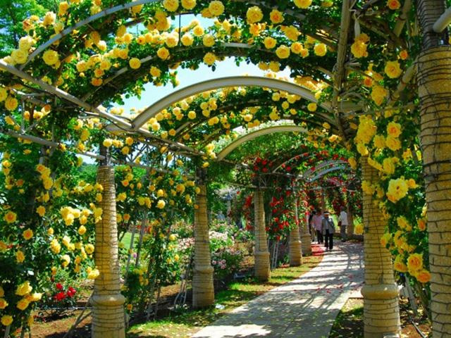 ハイジの村イメージ