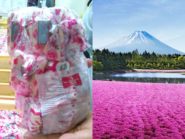 桔梗屋詰め放題ツアーイメージ