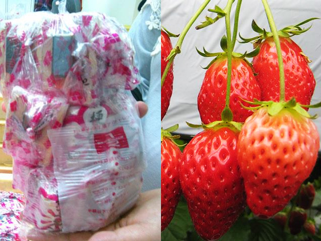 桔梗屋詰め放題ツアーイメージ