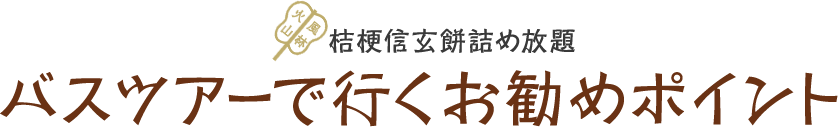 コツ 詰め 放題 信玄 餅