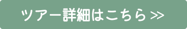 ツアー詳細はこちら