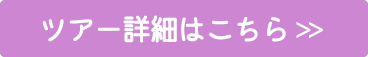 ツアー詳細はこちら