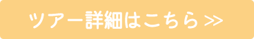 ツアー詳細はこちら