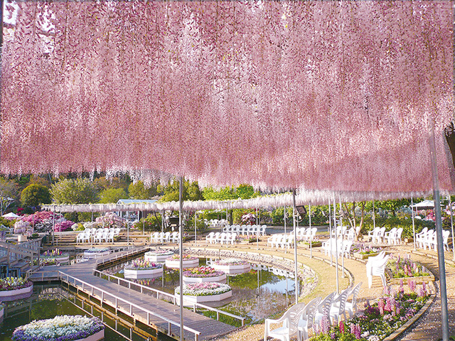 湯西川温泉かまくら祭