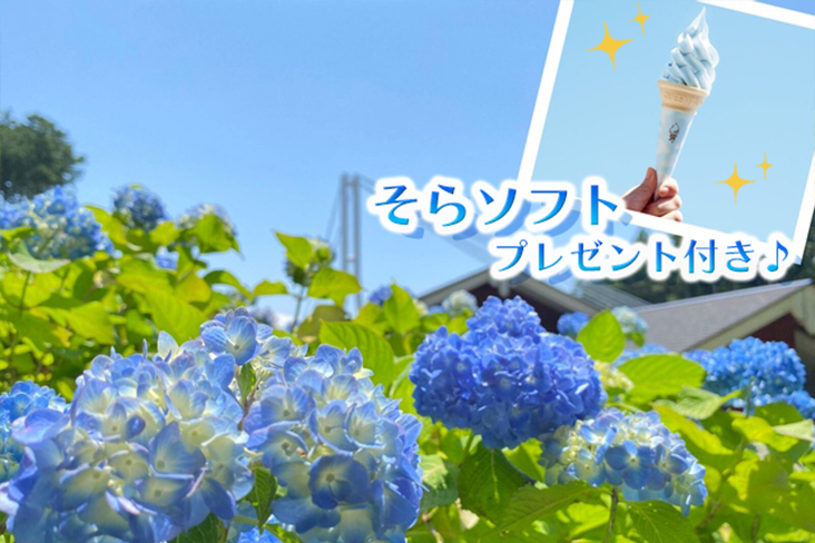 自然ツアー画像