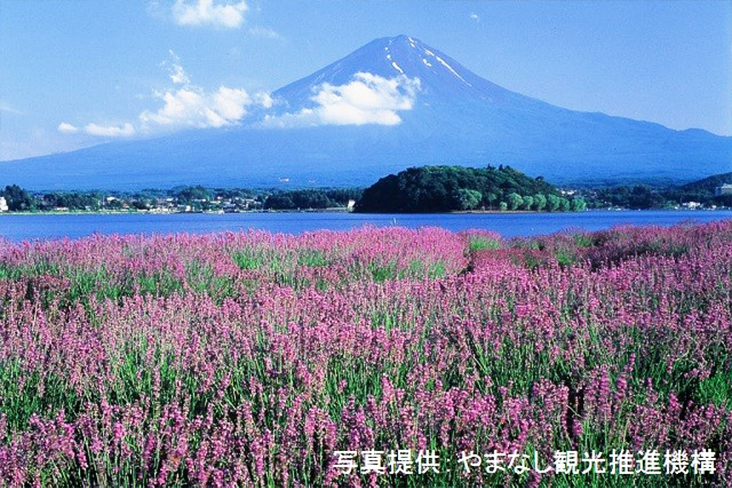 自然ツアー画像