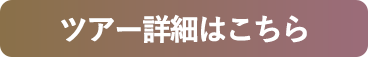 ツアー詳細はこちら