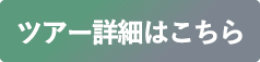 ツアー詳細はこちら