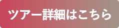 ツアー詳細はこちら