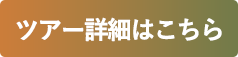 ツアー詳細はこちら