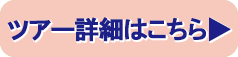 ツアー詳細はこちら
